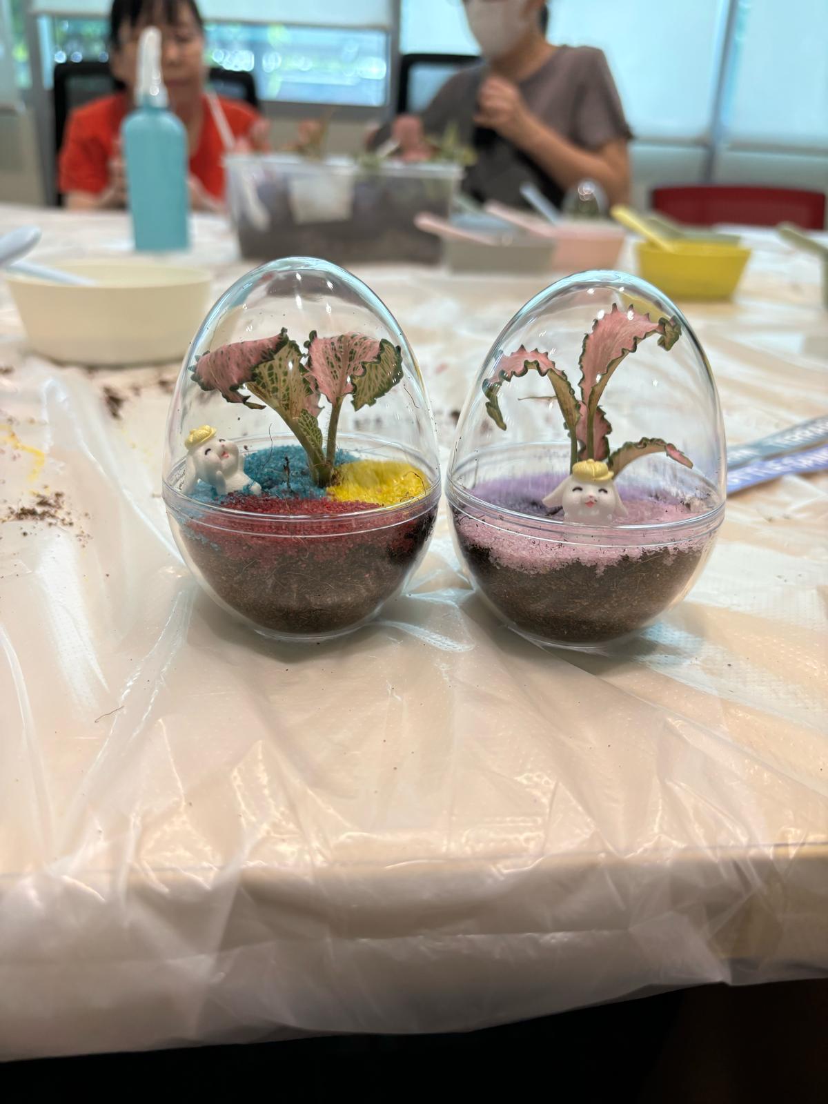 Terrarium making activity by BounceParkSG